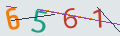 verifycode